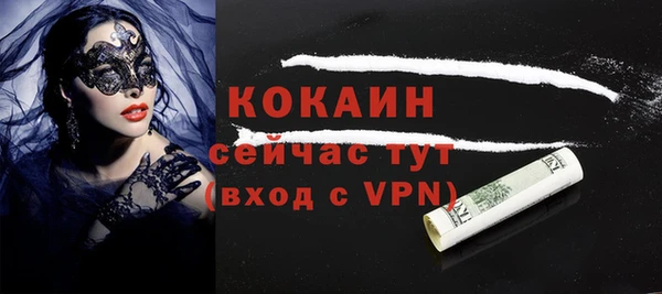 твердый Абаза
