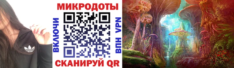 Галлюциногенные грибы Magic Shrooms  KRAKEN зеркало  Галич 