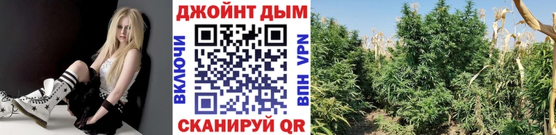 MEGA ТОР  Галич  Каннабис тримм 